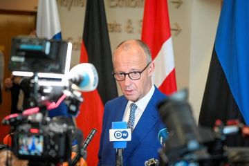 Журова допустила, что Мерц заявлениями о России мог намекнуть на новые транши Киеву