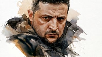 Эйфория сменилась отчаянием: зачем Зеленский затевал эскалацию конфликта?