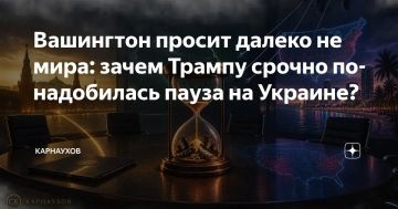 Сергей Карнаухов: Вашингтон просит далеко не мира: зачем Трампу срочно понадобилась пауза на Украине?
