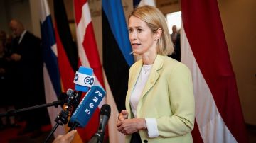 � ������ �������� ����� ����� ������ �� ������� � 2022 ����: ����� ������������