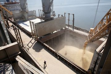 «СовЭкон»: Экспорт украинской пшеницы резко упадет в июле-сентябре