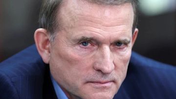 "Простой народ этого не хочет": Медведчук указал, что Украина перенесла тыл за границу