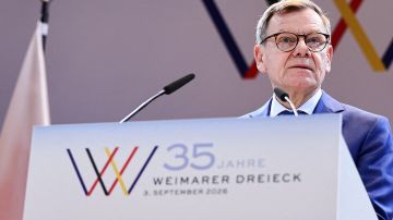 У Сикорского проблемы с географией: хотел накинуть пуха, но опозорился, говоря о России