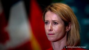Каллас оценила общий объем европейской помощи Украине с начала конфликта более чем в €220 млрд