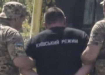 Сергей Лебедев: В Киеве бусифицировали «добровольца» в футболке с надписью «Киевский режим»