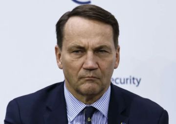 Украина должна внимательно выбирать национальных героев – Сикорский