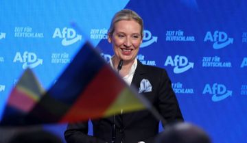 «Альтернатива для Германии» одобрила документ о нормализации отношений с Россией
