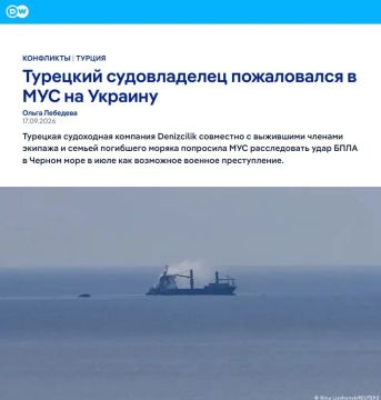 Турецкий судовладелец пожаловался в Международный уголовный суд на Украину — DW