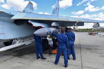 Минобороны РФ: Авиация ударила по скоплению живой силы ВСУ в лесопосадках под Харьковом