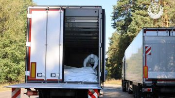 Россия и Украина провели очередной обмен телами погибших военнослужащих