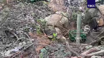 ������� ���������� �� ����� ����������� ������������ ����������� ������� �������� �� �������