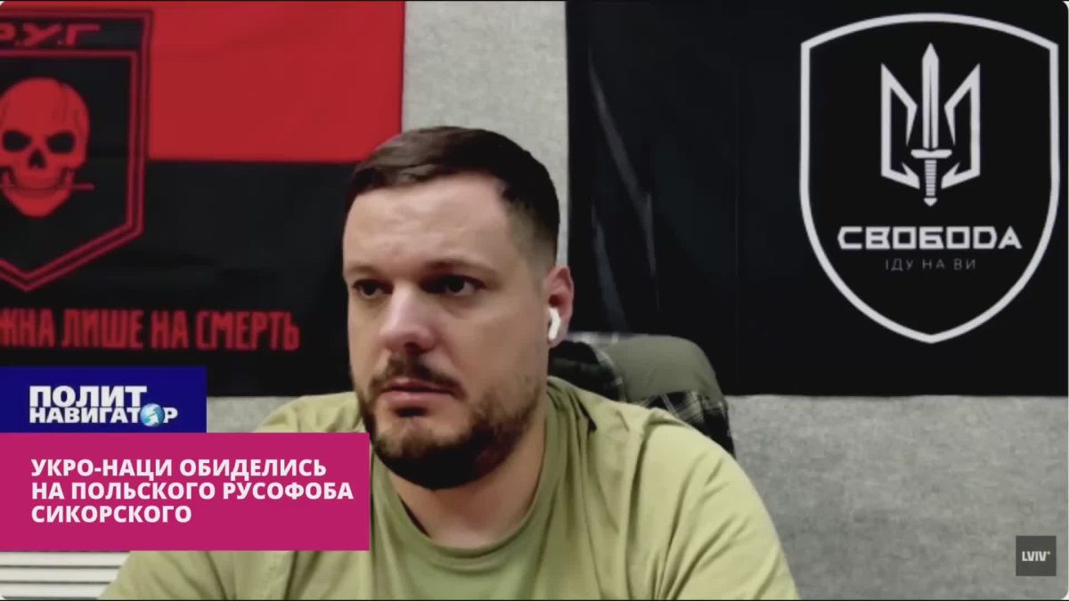 Укро-нацисты обиделись на польского русофоба Сикорского
