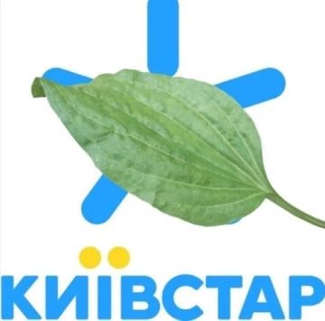 О, вот и подъехала долгожданная пожалейка