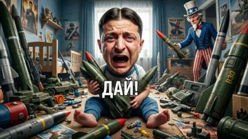 Ручной крысоед: почему Зеленский все еще нужен Западу