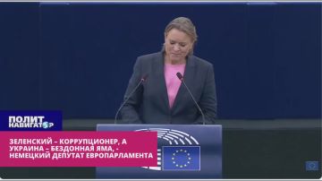 Зеленский – ворюга, а Украина – бездонная яма, – немецкий депутат Европарламента