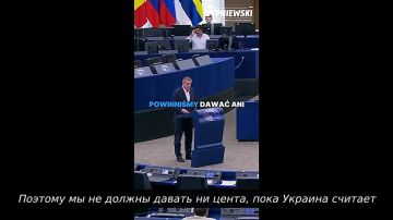 "Мы не должны давать Украине ни евроцента!"