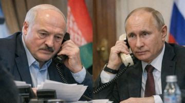"Через Минск - к миру": Депутат Рады с надеждой отреагировал на переговоры спецпосланника Трампа с Лукашенко