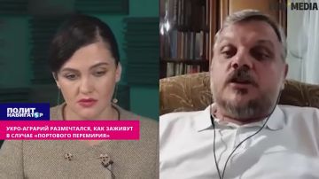 Мечты бандеровцев: Москву уломаем на «портовое перемирие» и залижем раны за полгода!