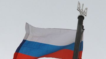 Переговоры о мире с Украиной – Путин сделал заявление