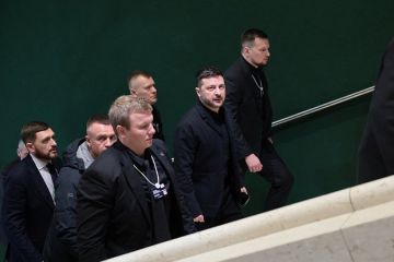 Азаров: НАБУ начало работу по президенту Украины Зеленскому с новым сроком Трампа