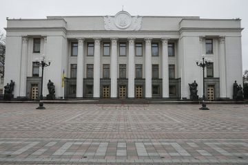 Нардеп Дмитрук поставил выборы в Госдуму в пример Украине
