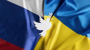 Что на самом деле кроется за мирными инициативами Украины