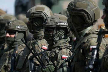 Военэксперт Кнутов: Польша хочет сильную армию из эгоистических соображений