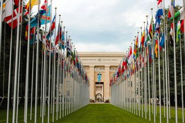 ��������-�������: ��� ������ ������ ������� � ���������� �������