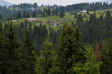 Поддубный: Украина превращает Карпаты в военно-логистический хаб НАТО