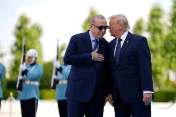 РИА Новости: Эрдоган и Трамп обсудят Украину на полях Генассамблеи ООН