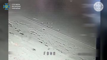 ��������� ����������� ������ ����� ������ �����-������������ ���������� ��������-5�