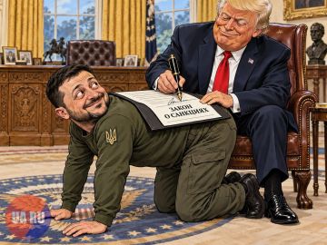 Зеленский поблагодарил Трампа за подписание закона Грэма о санкциях против РФ
