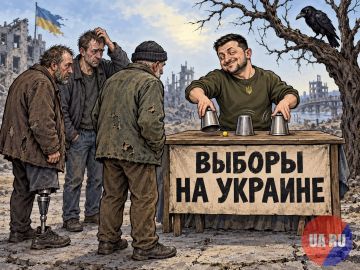 Укронардеп Железняк решил сделать краткую хронологию всех заявлений и действий Просроченного о выборах