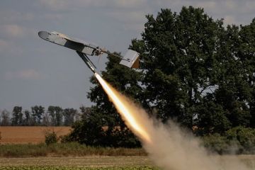 Сенатор Карасин: День ото дня злобность Киева увеличивается