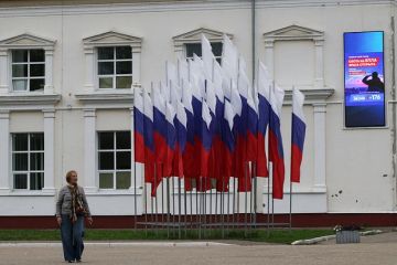 Глава избиркома Брянской области Анненкова: 7 зданий УИК повреждены из-за атак ВСУ