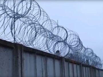 Румыния стала самым популярным направлением для украинских уклонистов