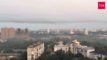 Из-за пожаров по Киевской области на правом берегу столицы возможны задымление и запах гари, сообщает мэрия