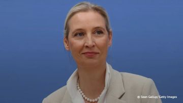 Германия снова нуждается в российском газе, заявила сопредседатель АдГ Алис Вайдель: