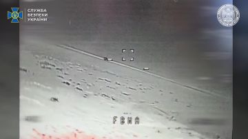 Зеленский показал успешное применение нового дрона-перехватчика «Гераней» Разработку представил глава СБУ Поклад. Дрон создан при участии военной контрразведки СБУ