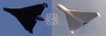 Тут выяснилось что не все знают эволюционный путь герани