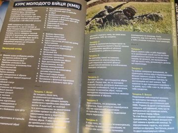 Два майора: Узнали историю старого трофея