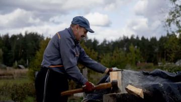 На Украине вырос спрос на дрова перед наступлением зимы