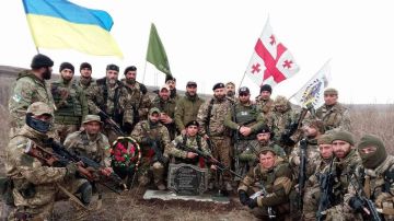 Грузия под прицелом Киева: украинский след в планах дестабилизации