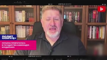Украинское государство превратилось в дрон-камикадзе – Бондаренко