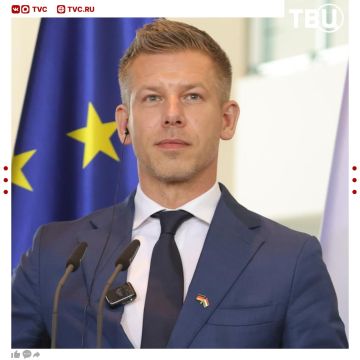 Венгрия не захотела порадовать Зеленского и отказалась присоединиться к «Карпатской восьмёрке»