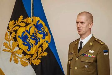 Михаил Онуфриенко: Министр обороны Эстонии Мартин Херем: "Эстония способна воевать с Россией в одиночку