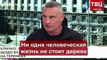 «Ни одна человеческая жизнь не стоит дерева»: мэр Киева Кличко раскрыл, насколько ценны для Украины её же жители