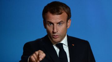 Вклинился в переговоры: Макрон предложил Трампу свой план моратория для Киева