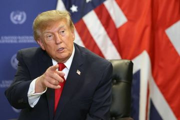Трамп: Путин готов встретиться, чтобы положить конец конфликту на Украине
