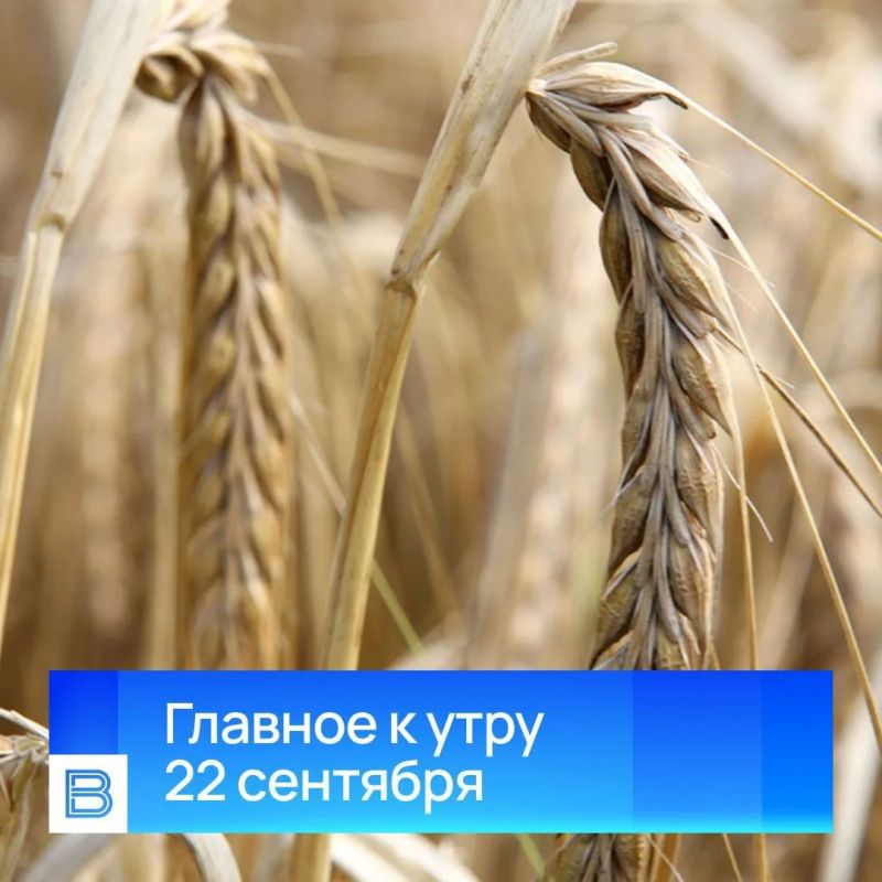 Главные новости к утру, 22 сентября 2026 года